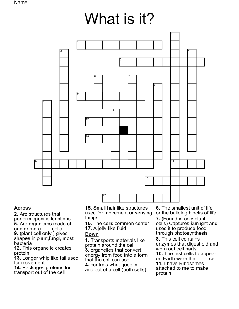 What is it? Crossword