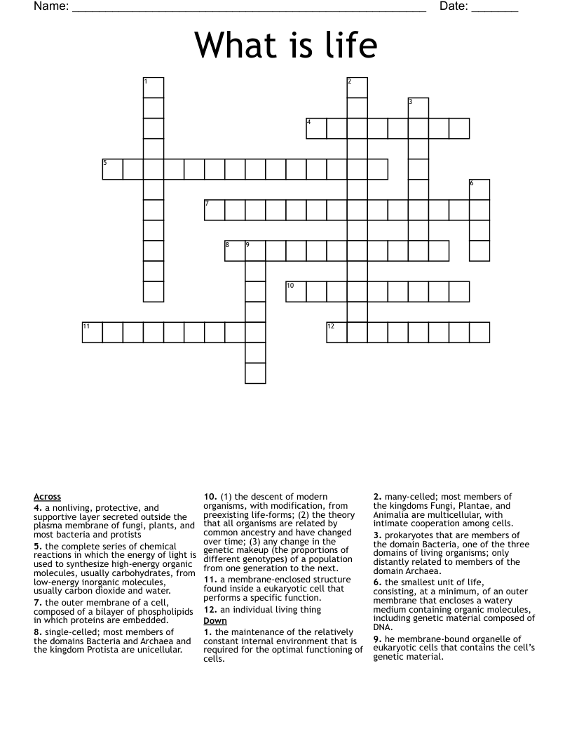 What is life  Crossword