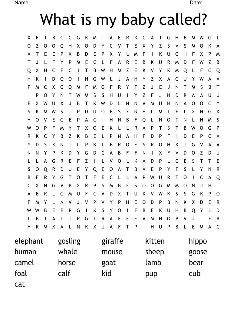 What is my baby called? Word Search