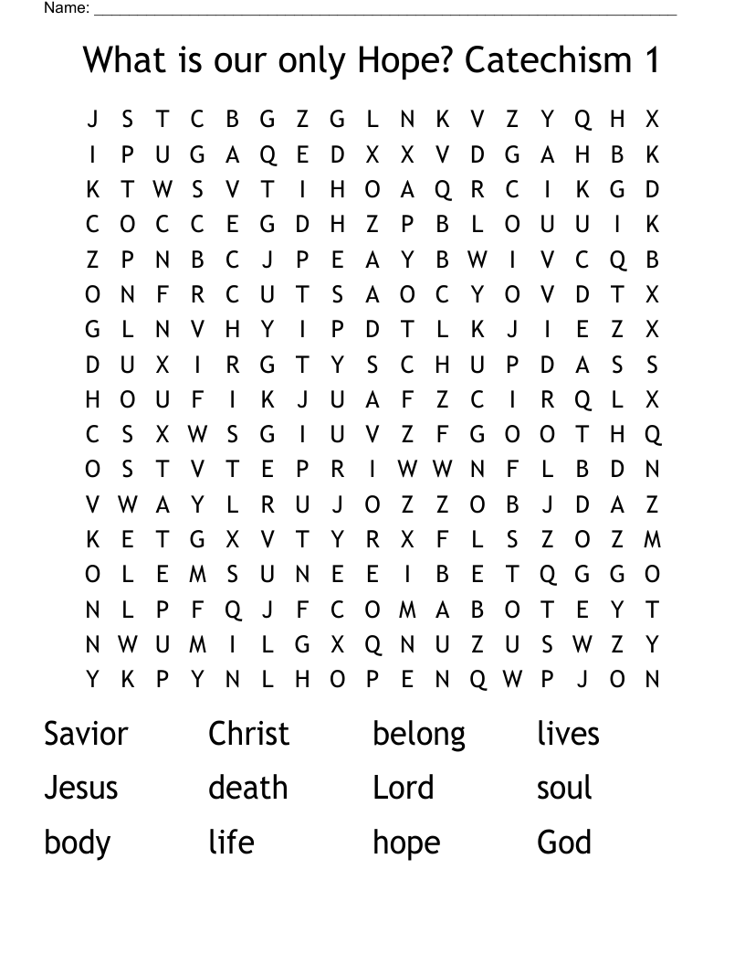 What is our only Hope?  Catechism 1 Word Search