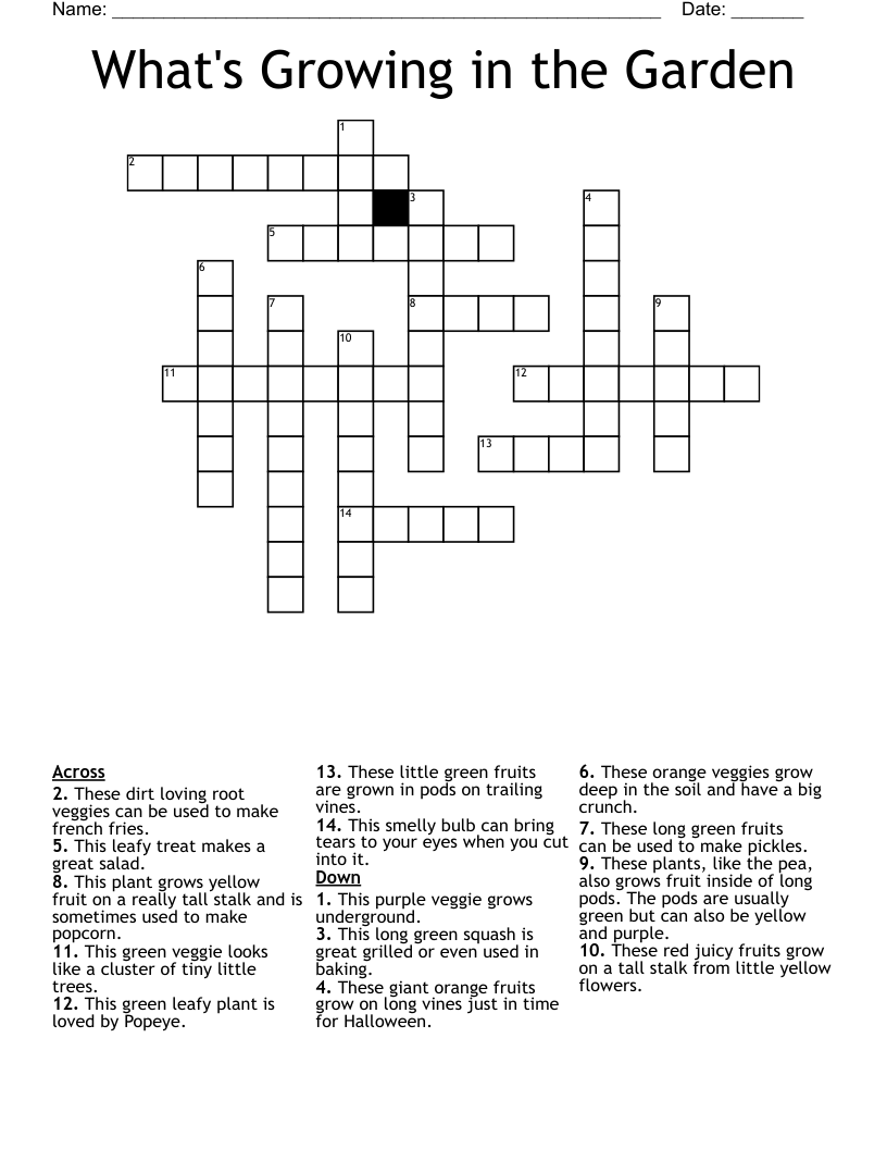 What's Growing in the Garden Crossword