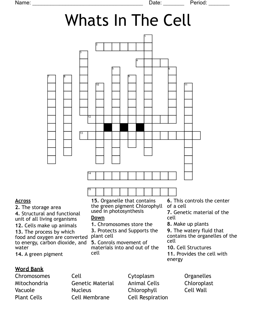 Whats In The Cell Crossword