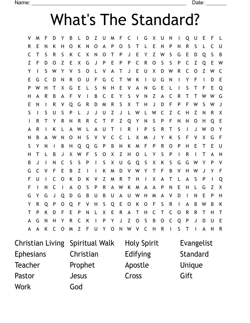 What's The Standard? Word Search