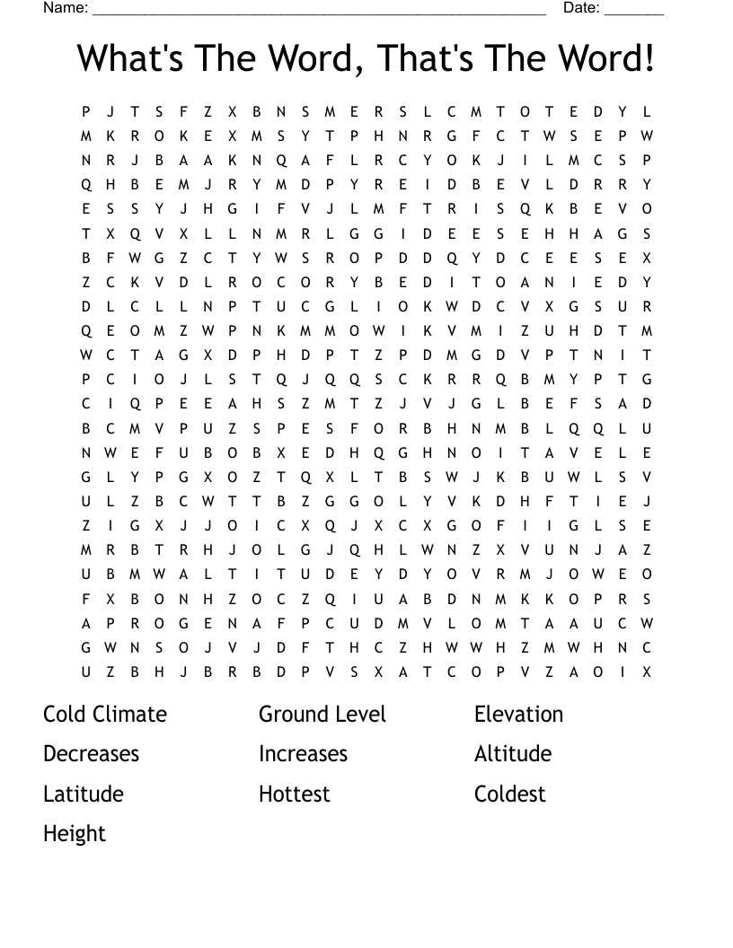 What's The Word, That's The Word! Word Search