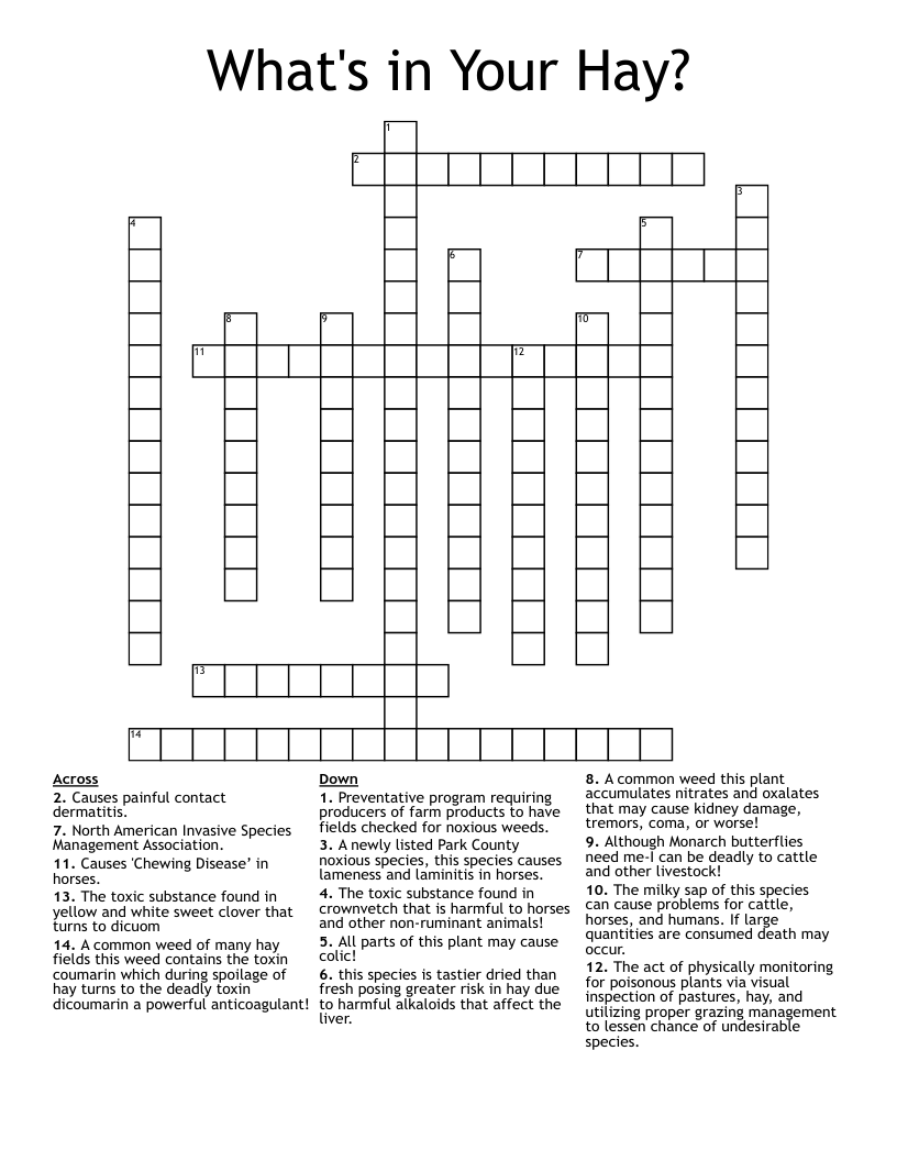 What's in Your Hay? Crossword