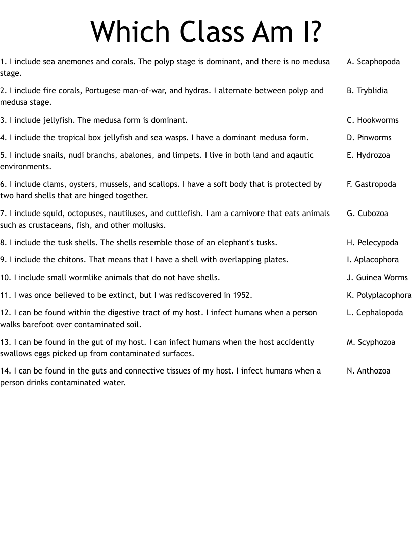 Which Class Am I? Worksheet