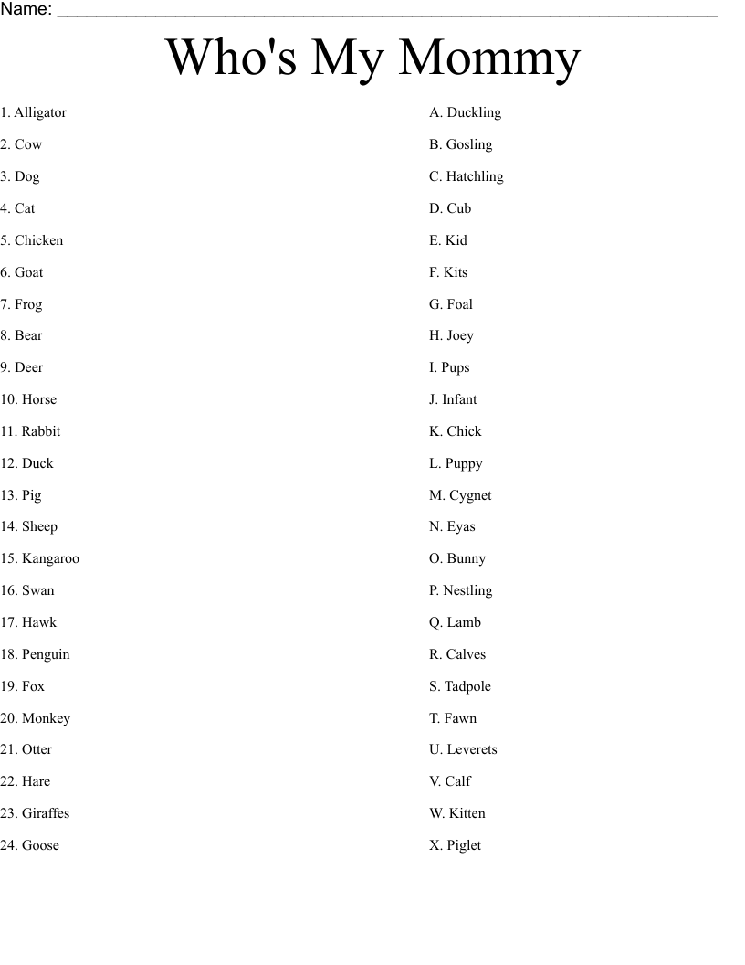 Who's My Mommy Worksheet