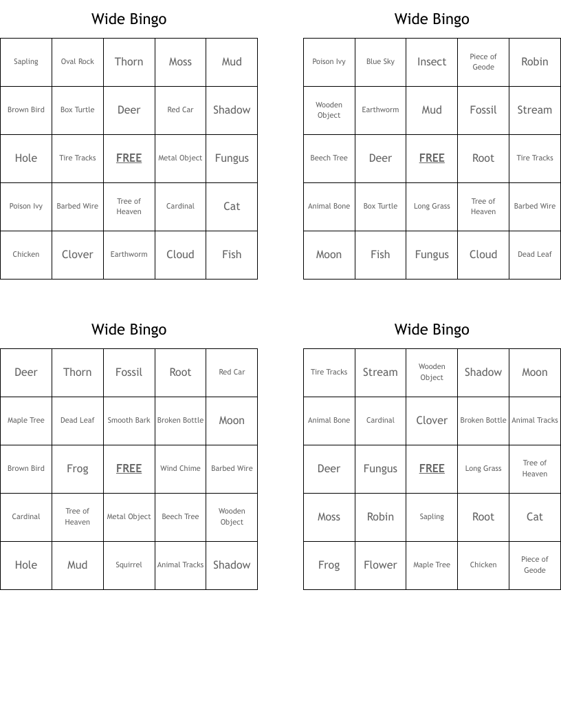 Wide Bingo