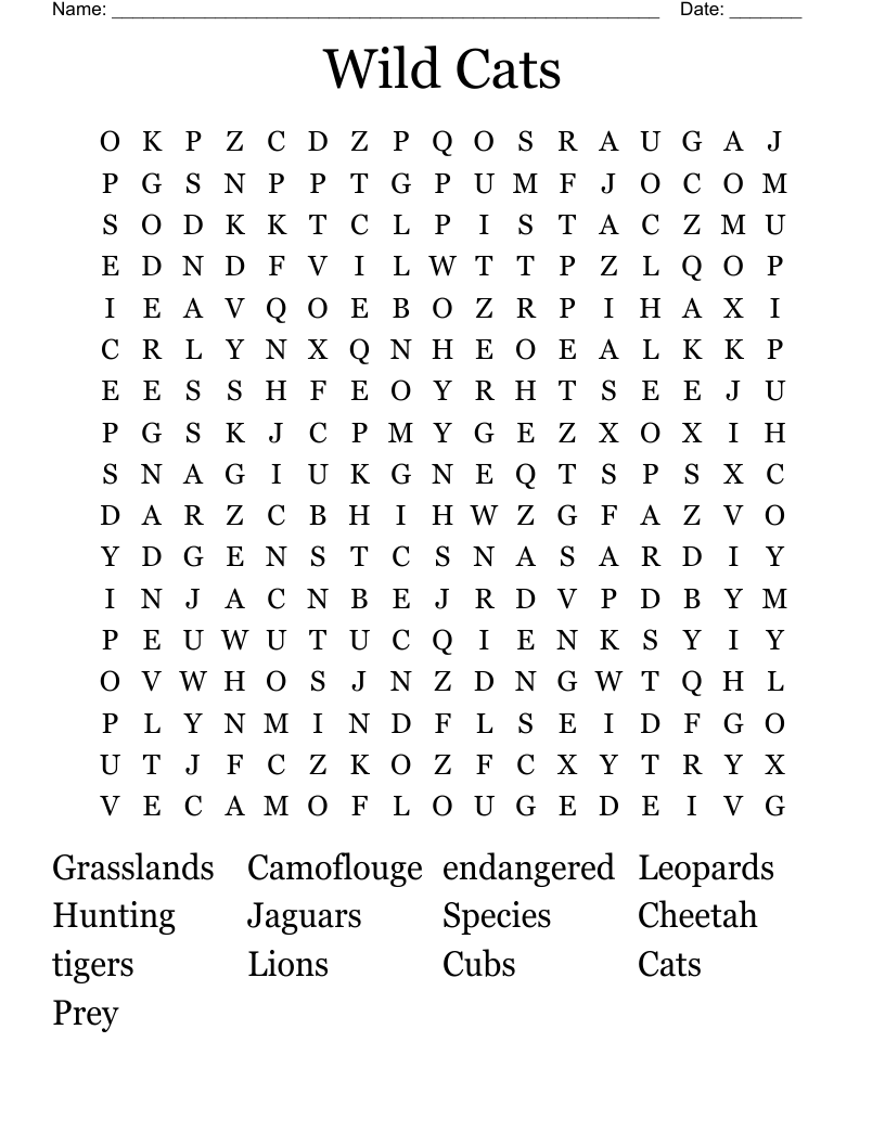 Wild Cats Word Search