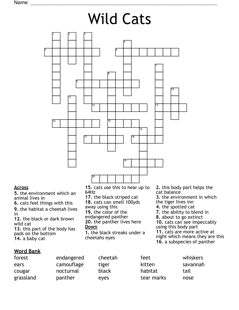 Wild Cats Crossword