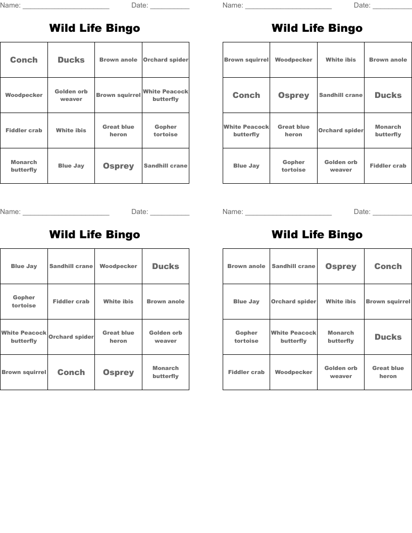 Wild Life Bingo
