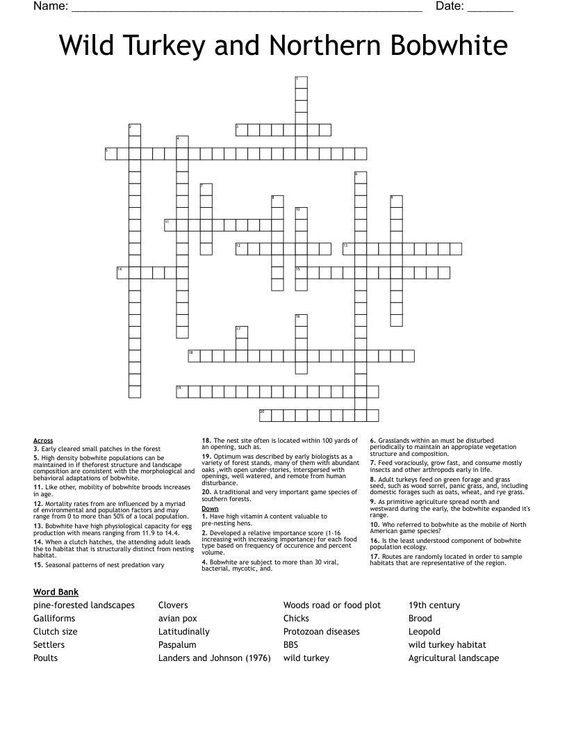 Wild Turkey and Northern Bobwhite Crossword