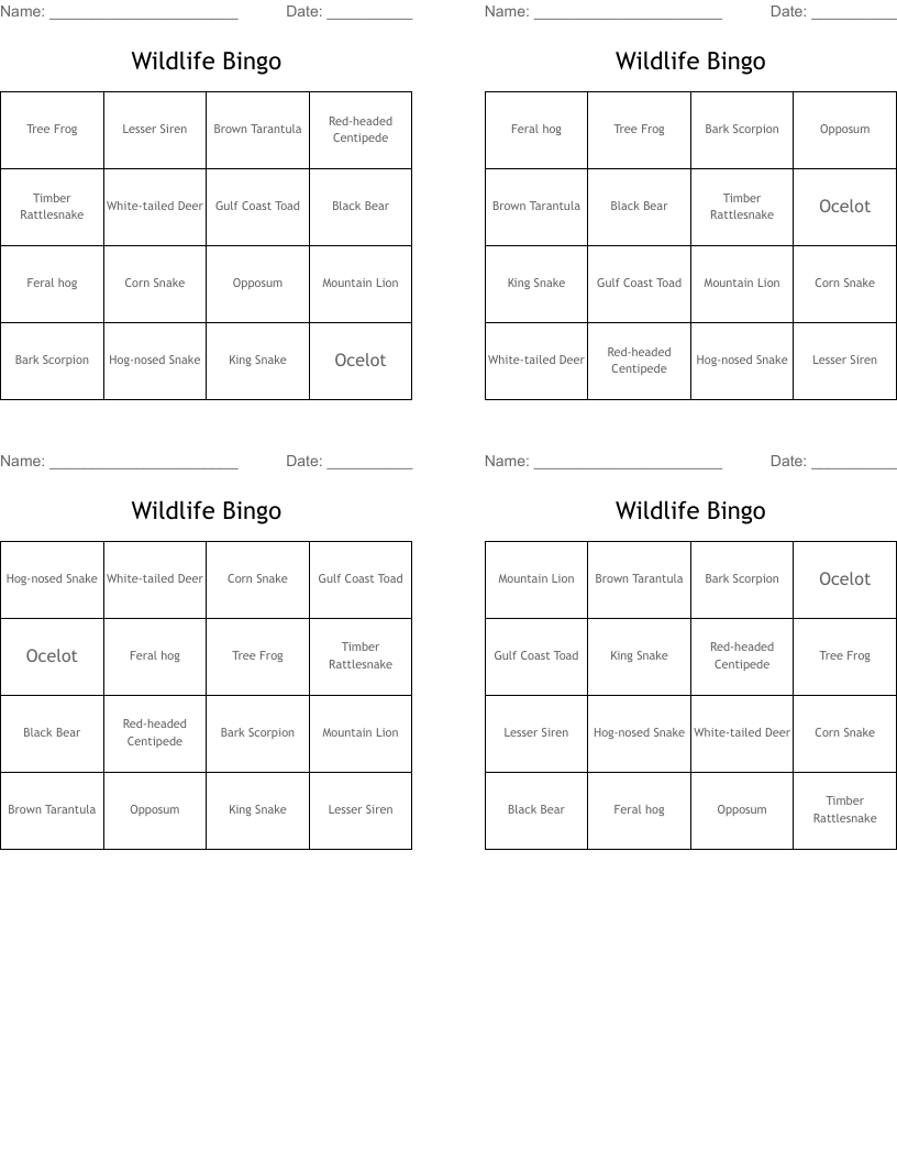 Wildlife Bingo