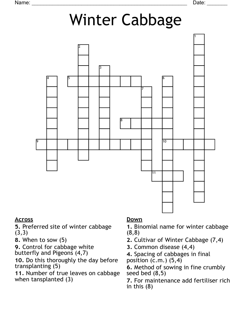 Winter Cabbage Crossword