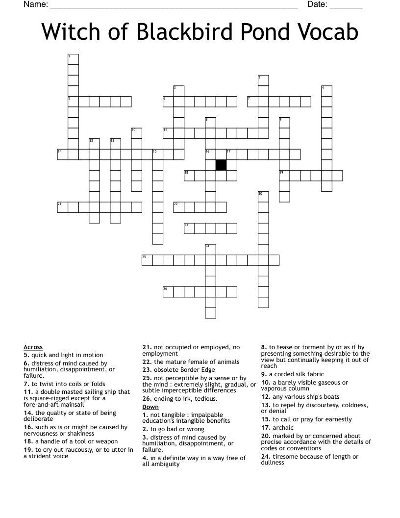 Witch of Blackbird Pond Vocab Crossword