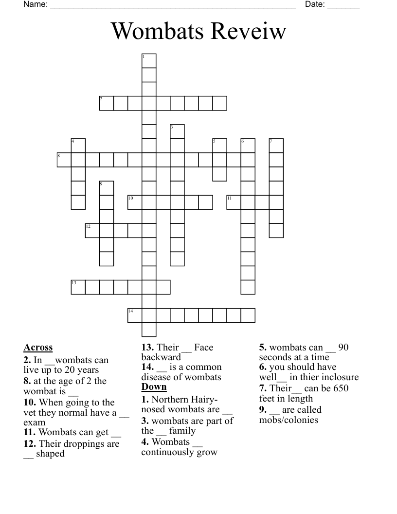 Wombats Reveiw  Crossword