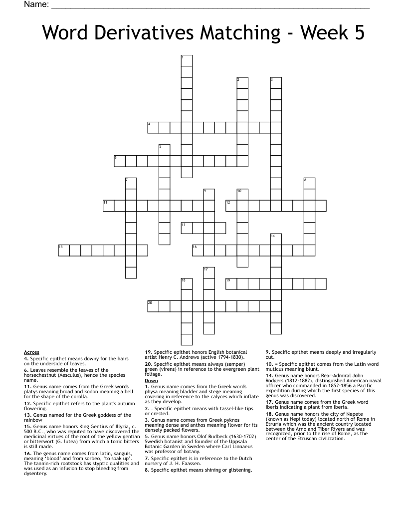 Word Derivatives Matching - Week 5 Crossword