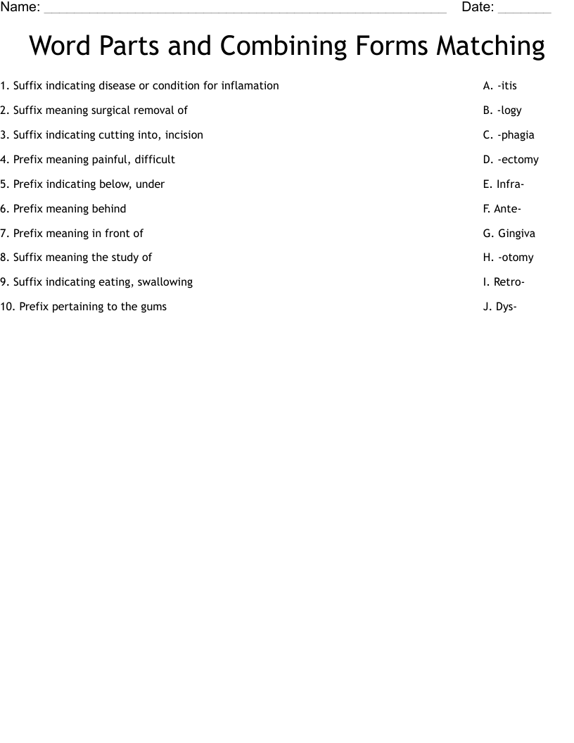 Word Parts and Combining Forms Matching Worksheet