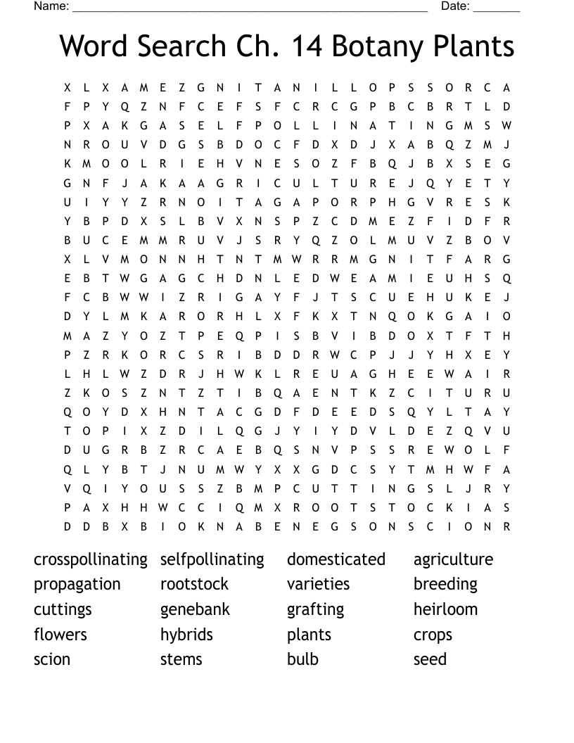 Word Search Ch. 14 Botany Plants