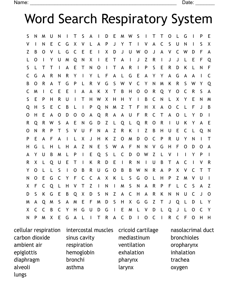 Word Search Respiratory System