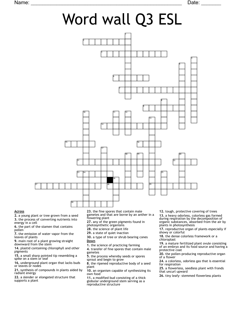 Word wall Q3 ESL Crossword