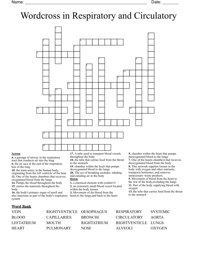 Wordcross in Respiratory and Circulatory Crossword