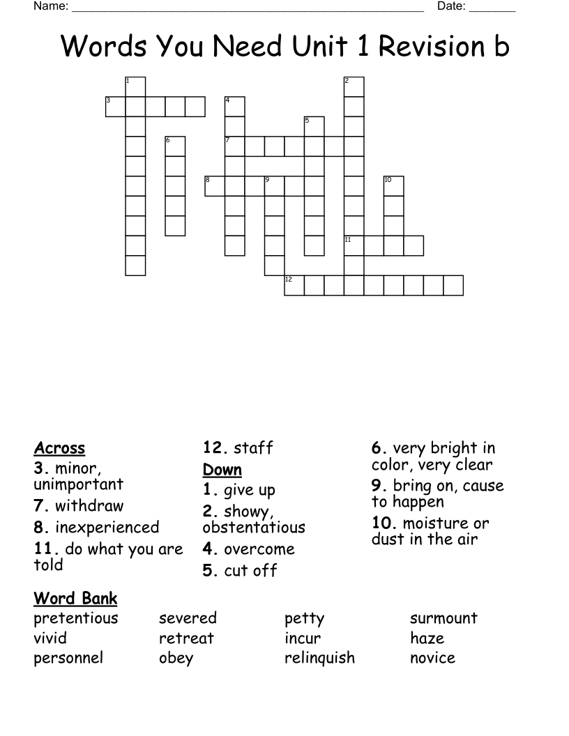 Words You Need Unit 1 Revision b Crossword