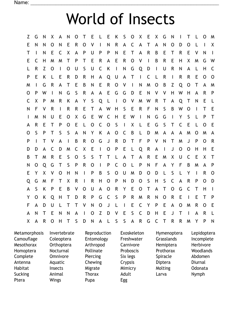 World of Insects Word Search