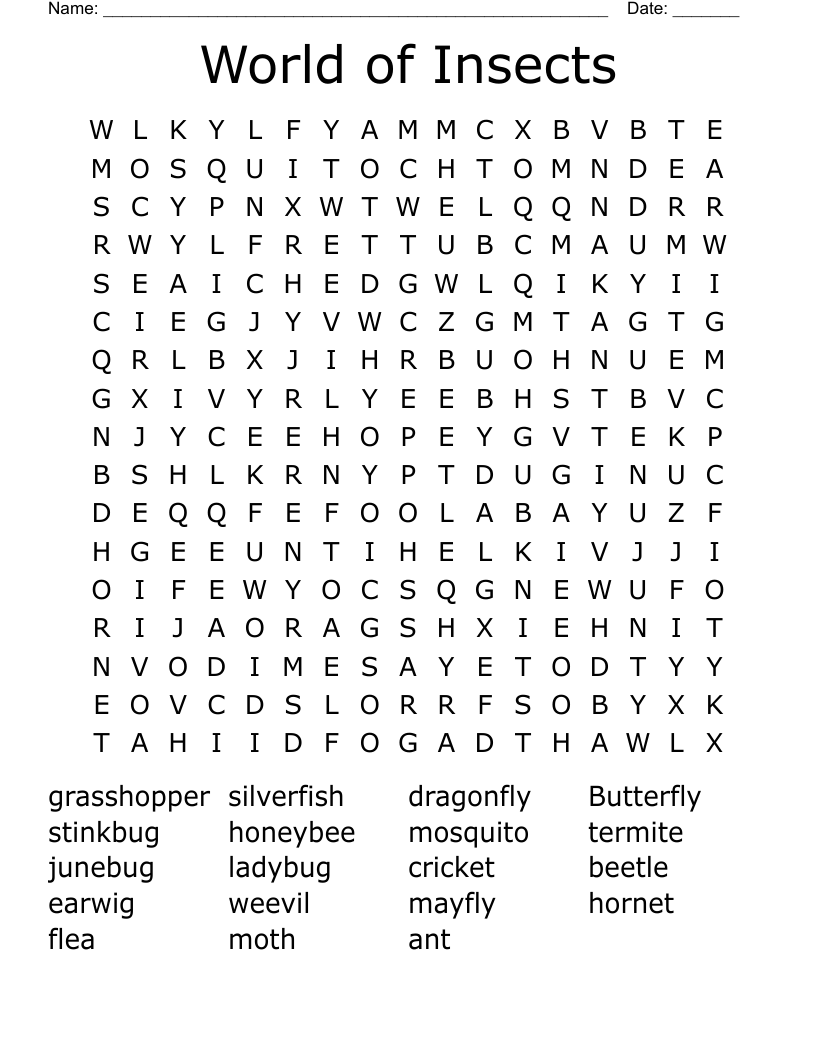 World of Insects   Word Search