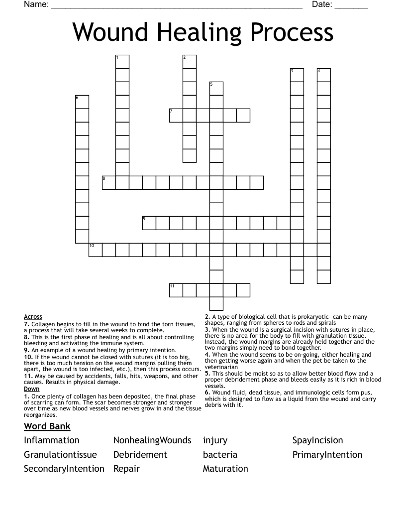Wound Healing Process Crossword