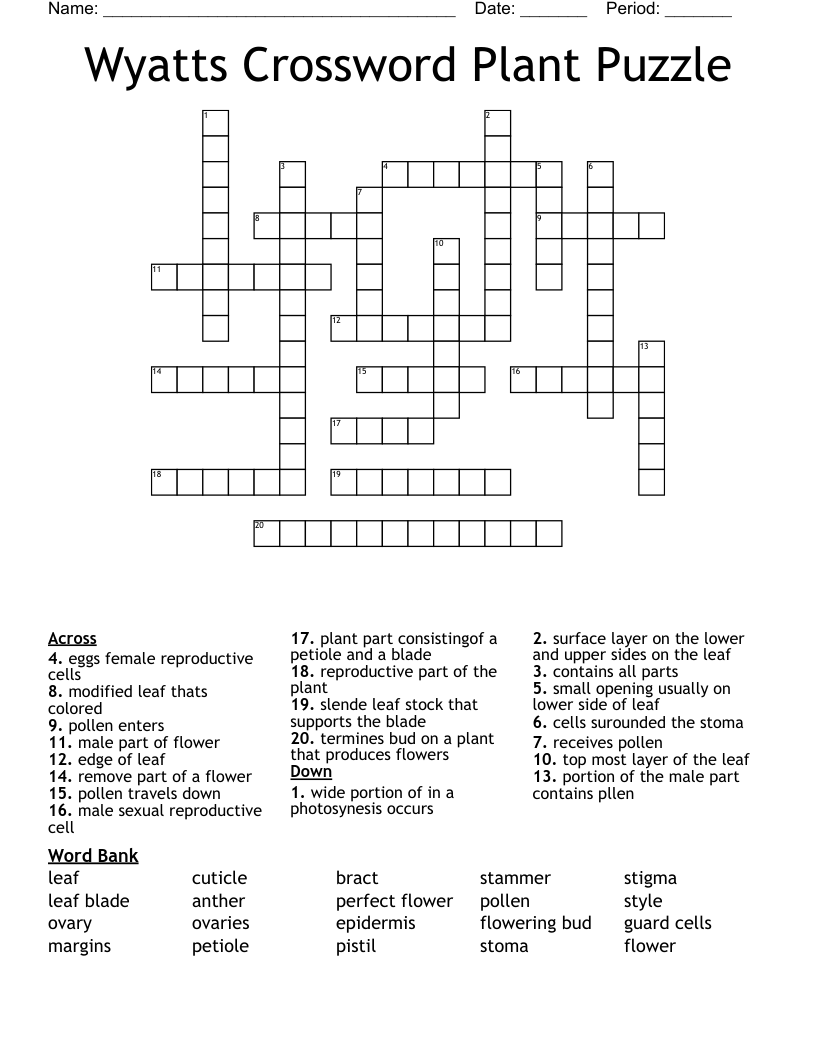 Wyatts Crossword Plant Puzzle