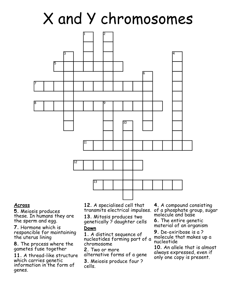 X and Y chromosomes Crossword