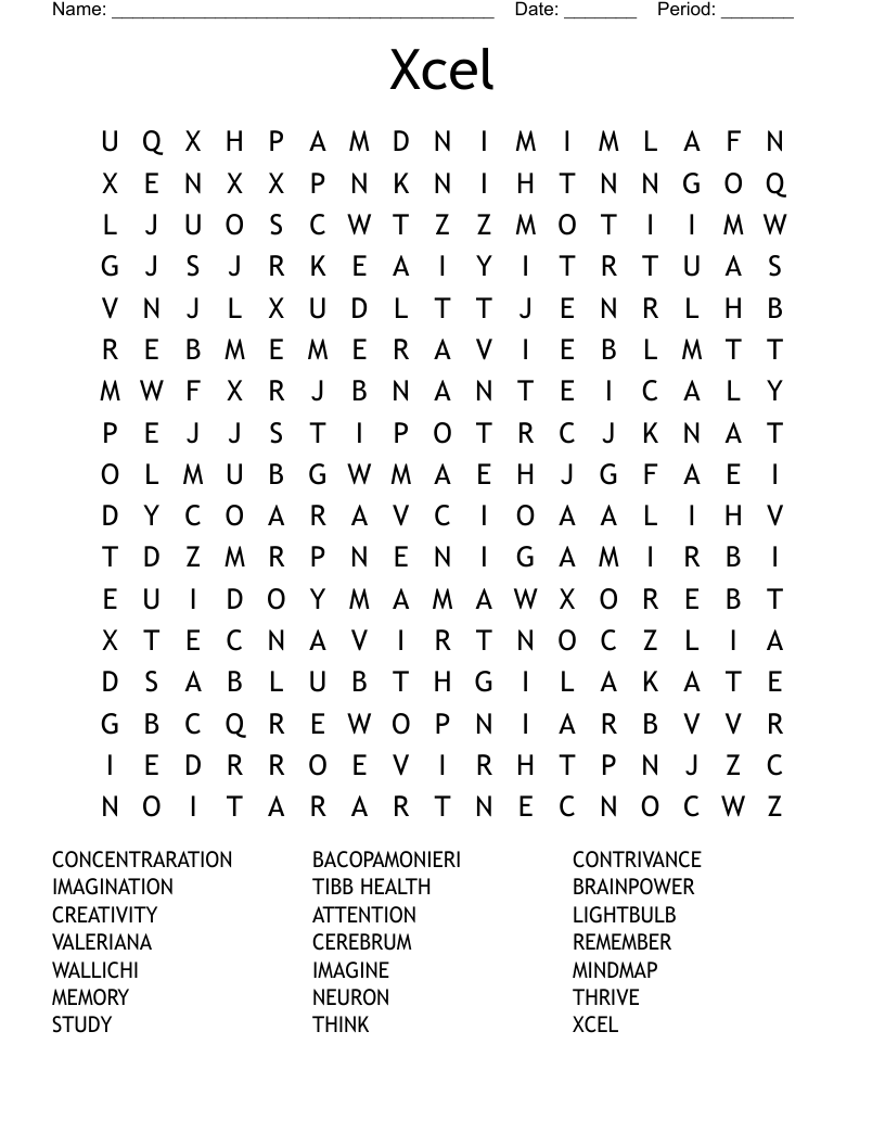 Xcel Word Search