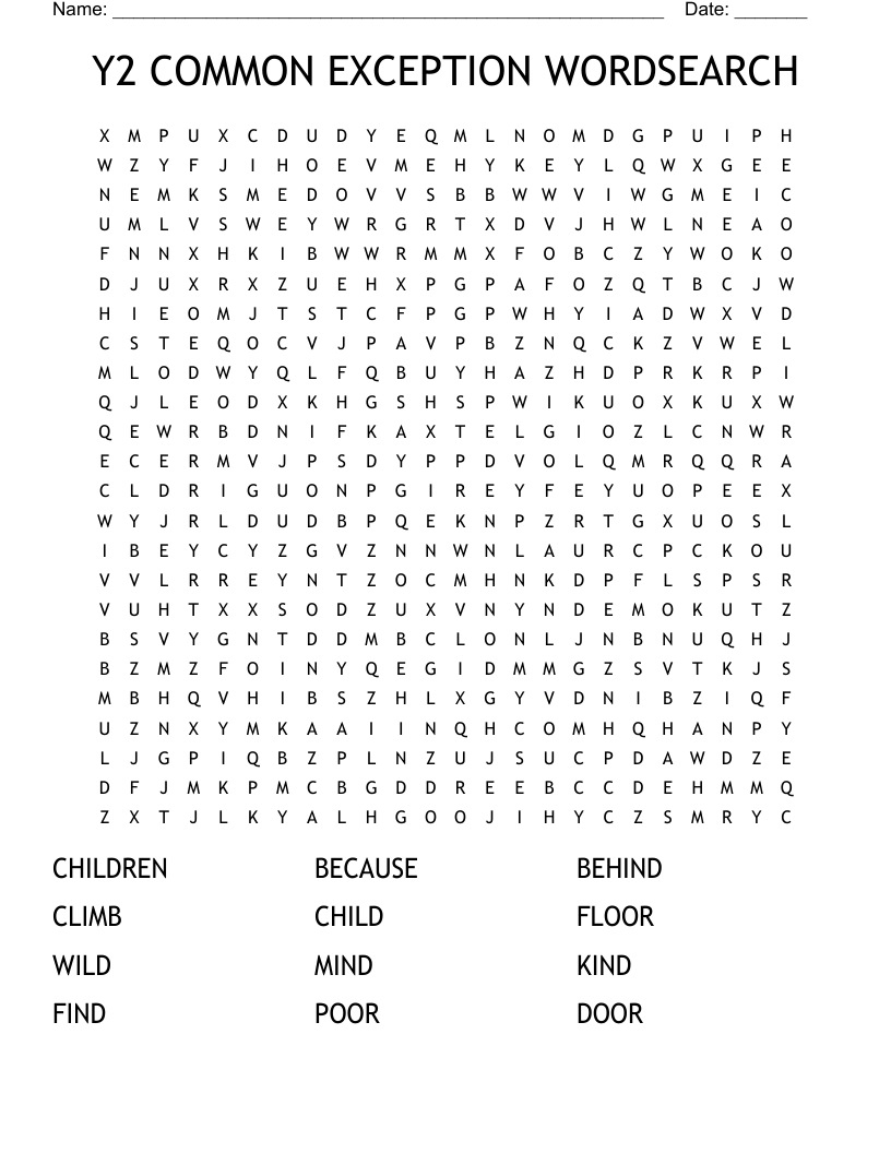 Y2 COMMON EXCEPTION WORDSEARCH