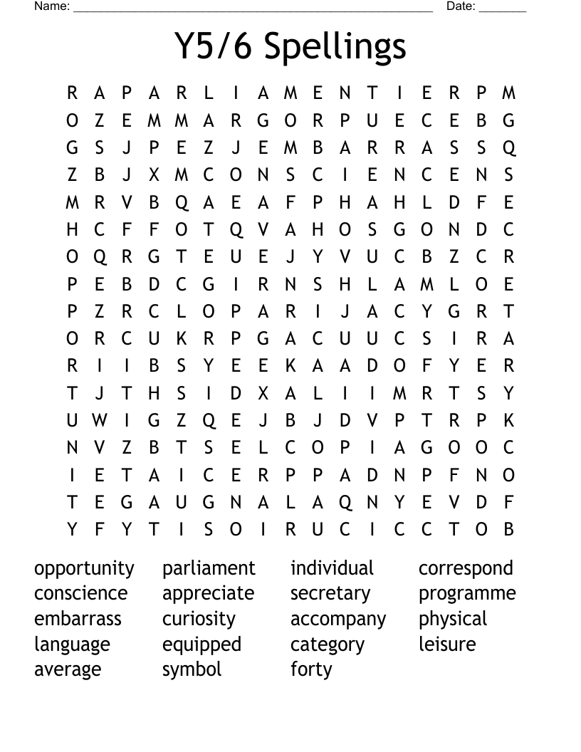 Y5/6 Spellings Word Search