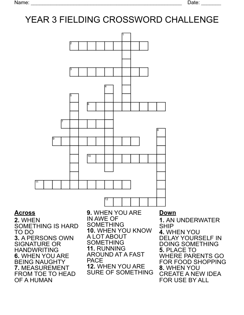 YEAR 3 FIELDING CROSSWORD CHALLENGE
