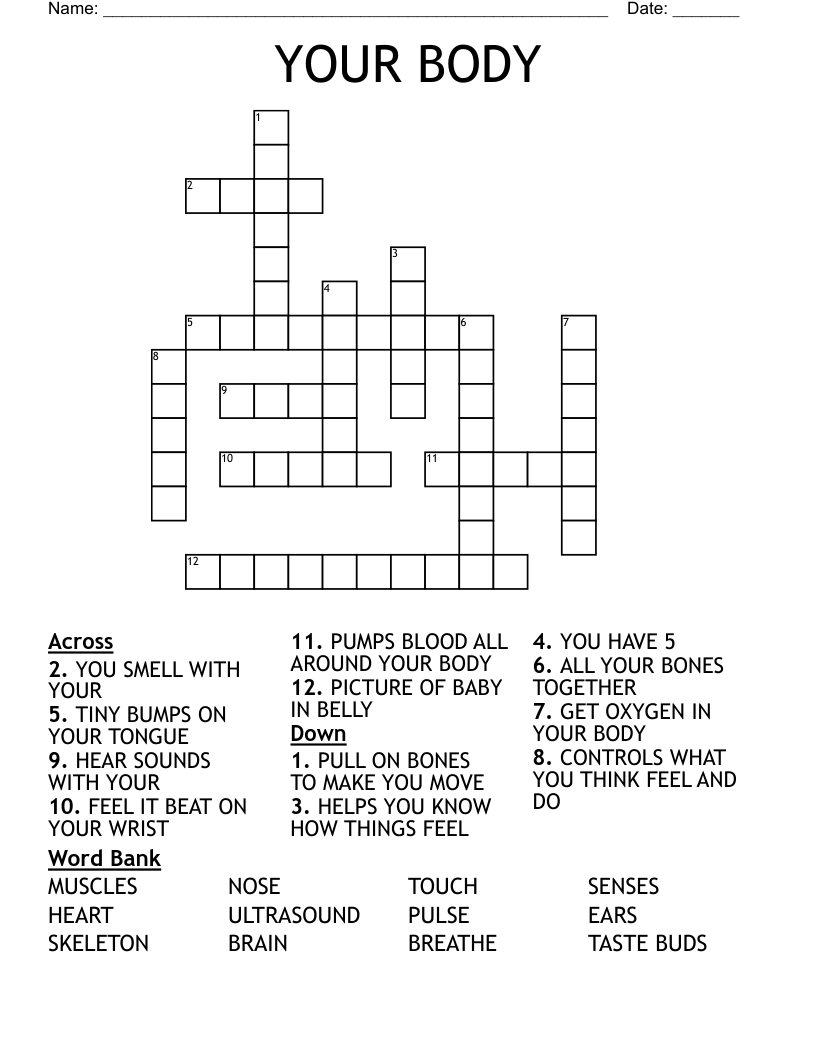 YOUR BODY Crossword