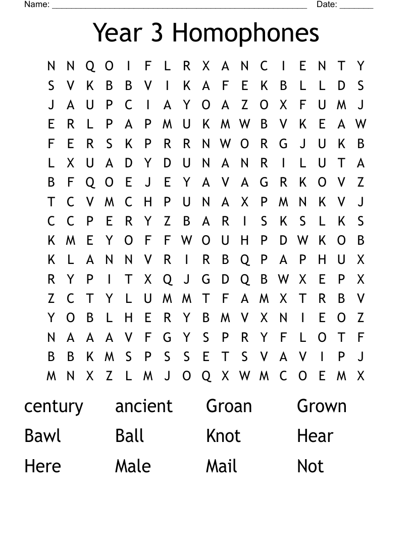 Year 3 Homophones Word Search