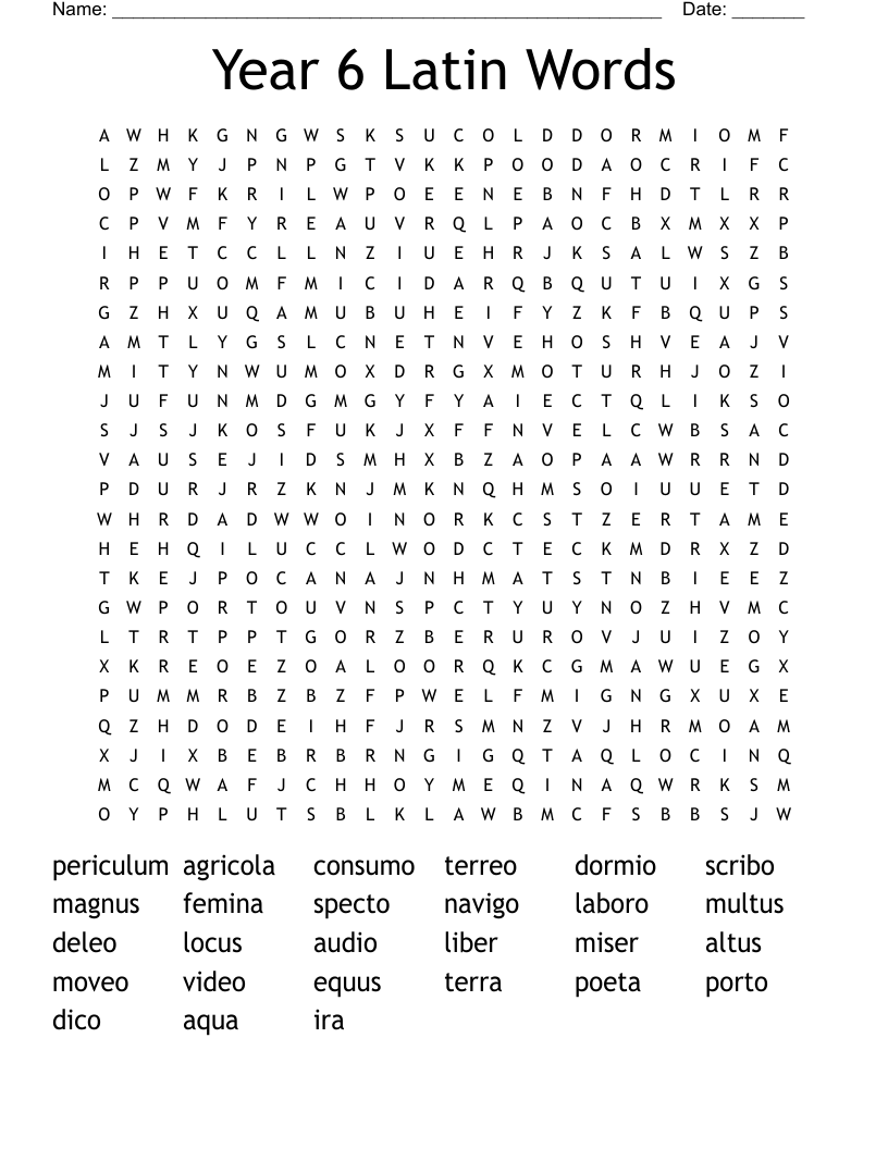 Year 6 Latin Words Word Search