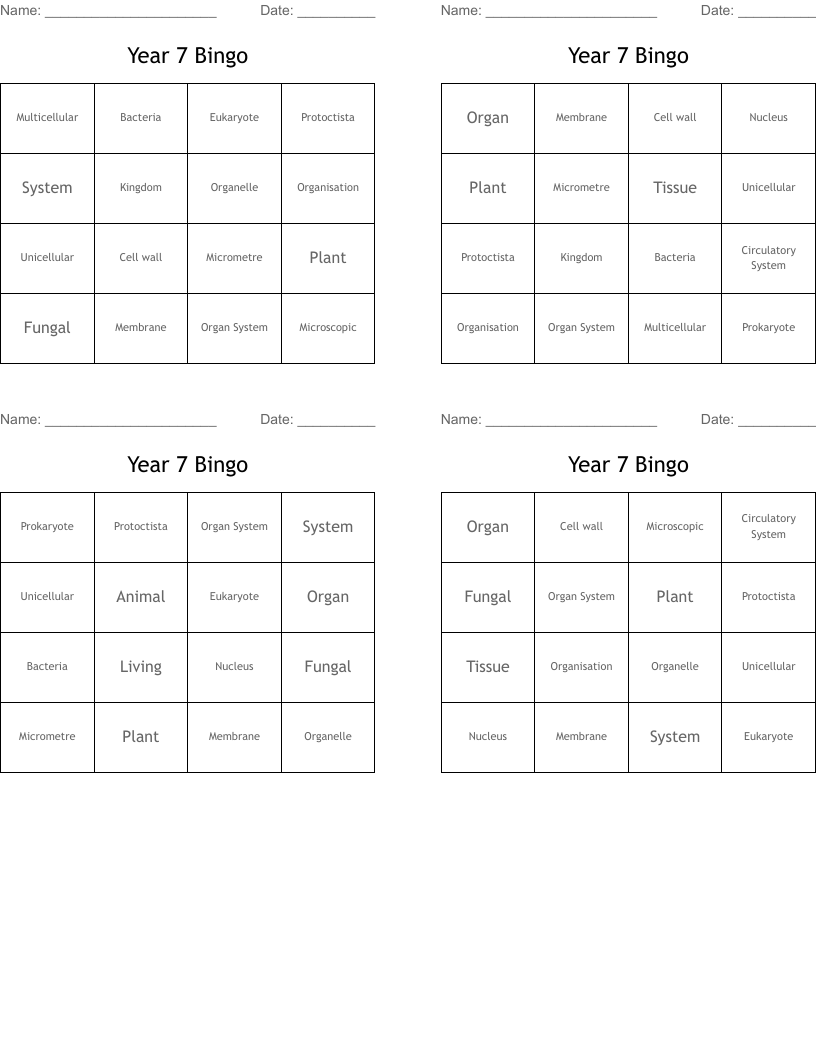 Year 7 Bingo 