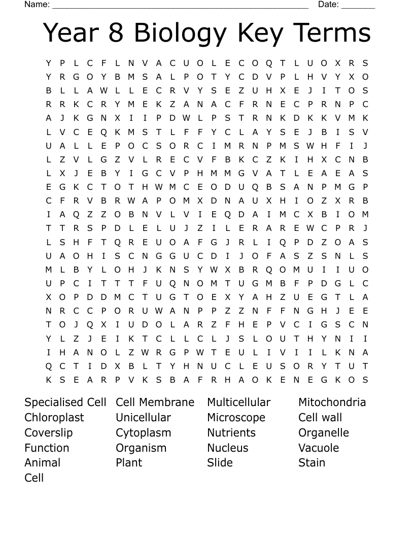 Year 8 Biology Key Terms Word Search