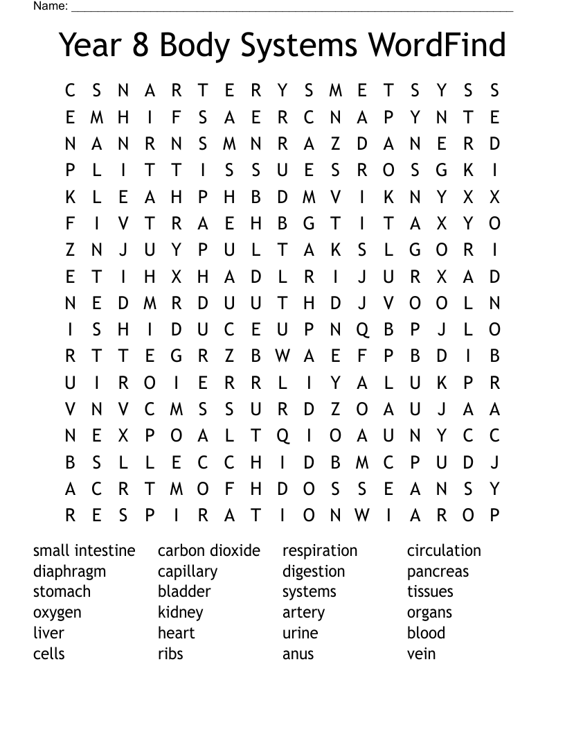 Year 8 Body Systems WordFind Word Search