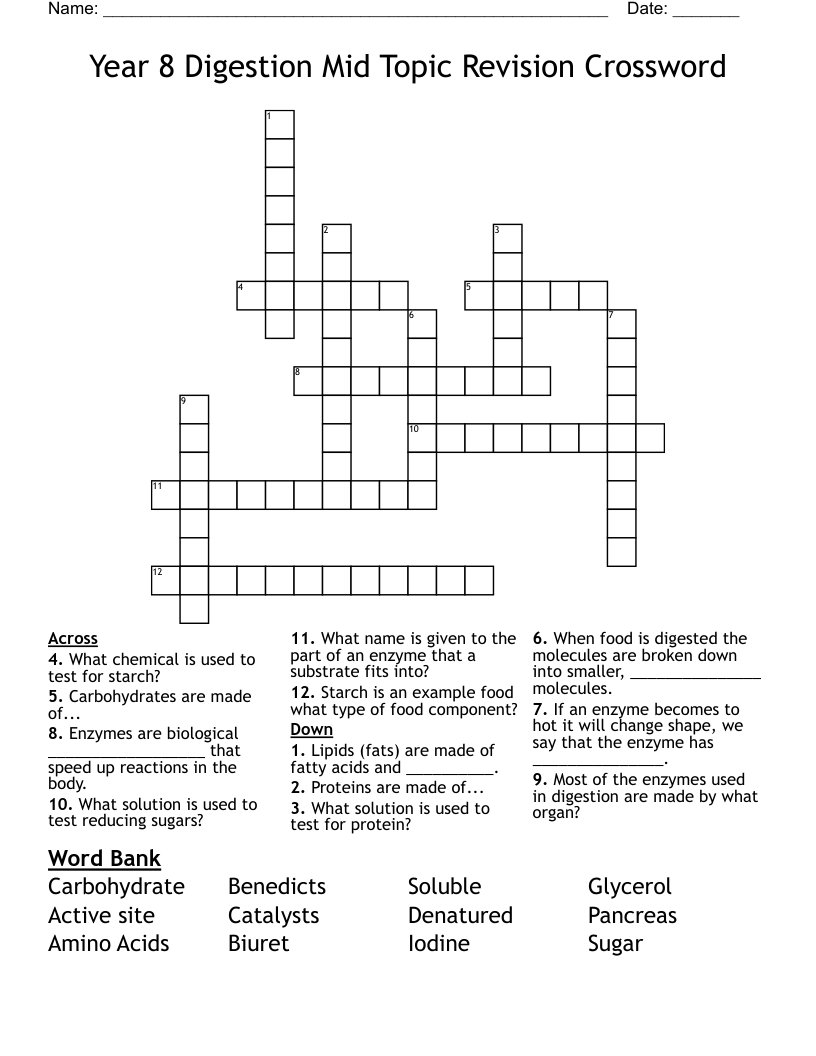 Year 8 Digestion Mid Topic Revision Crossword 