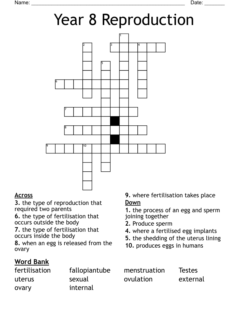 Year 8 Reproduction Crossword
