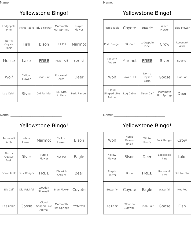 Yellowstone Bingo!