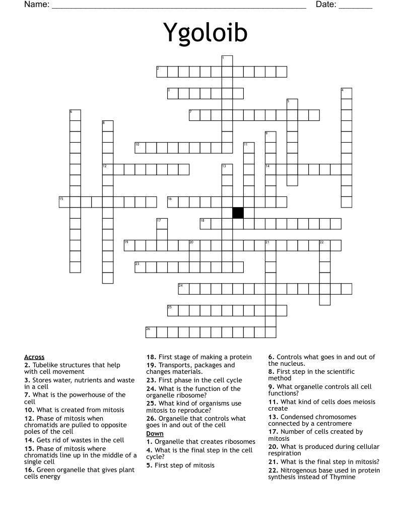 Ygoloib Crossword