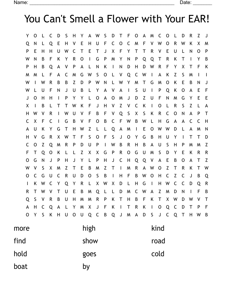 You Can't Smell a Flower with Your EAR! Word Search