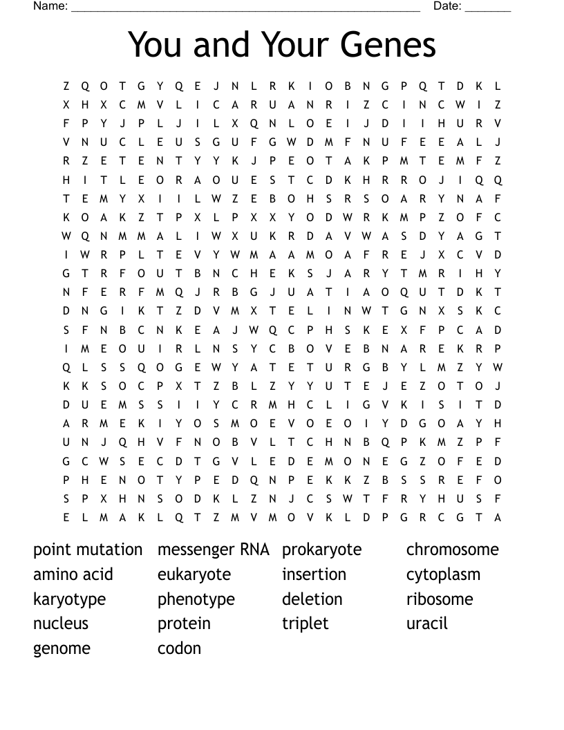 You and Your Genes Word Search
