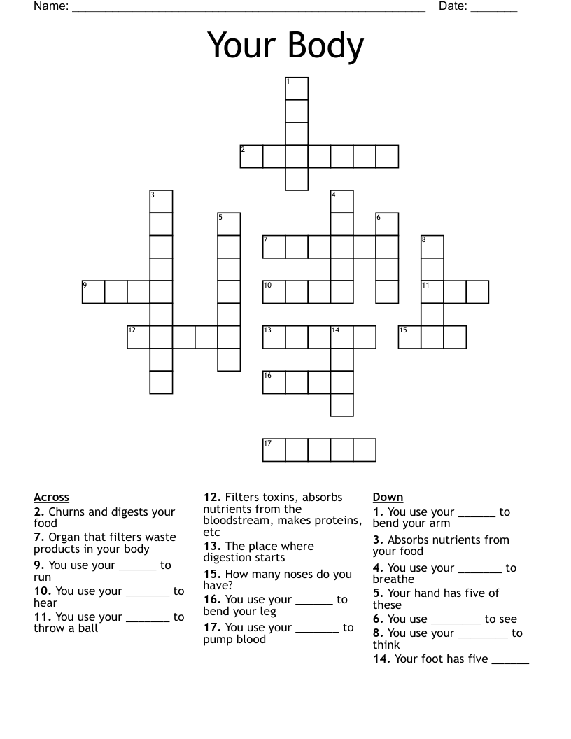 Your Body Crossword