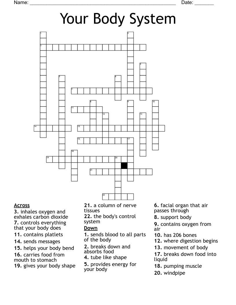 Your Body System Crossword